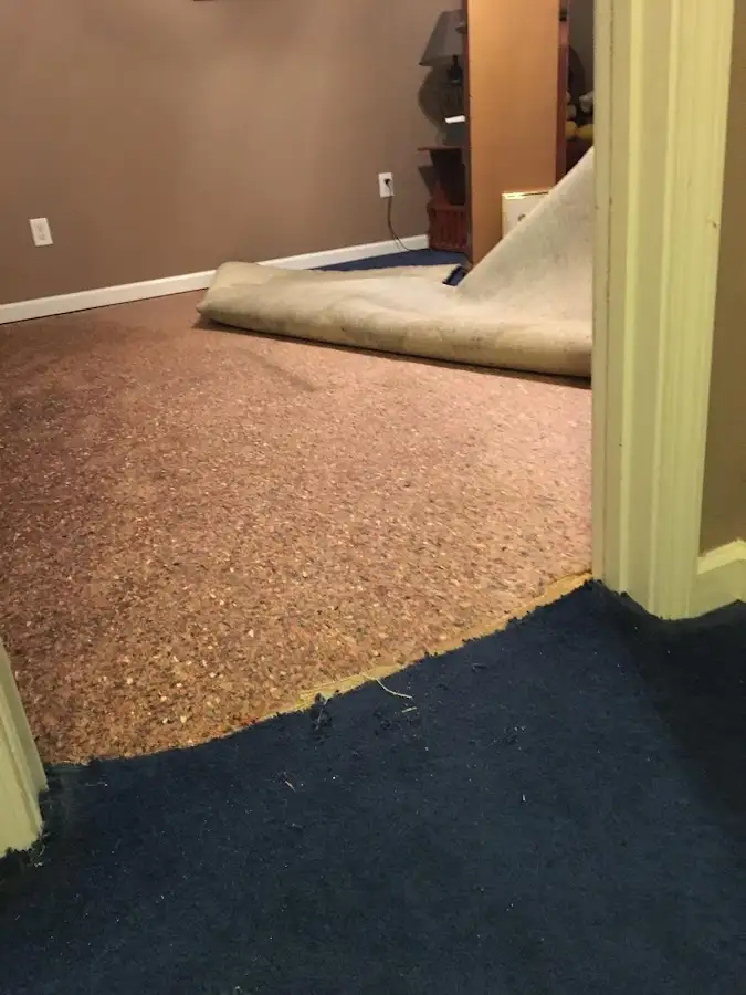 Carpet pad removal revealing water damage during Water Mitigation Services in Tiffin