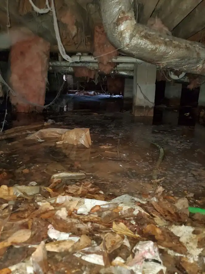 Crawl space flood assessment for Leak Detection & Repair in Tiffin